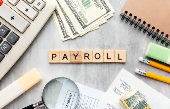 Payroll Services