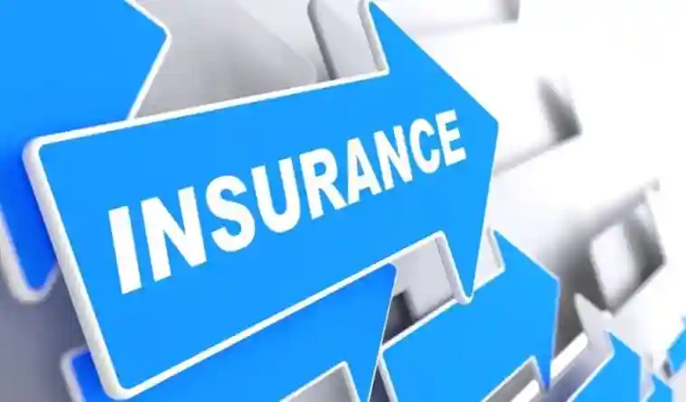 Which Insurance is Right for You? Exploring Various Options